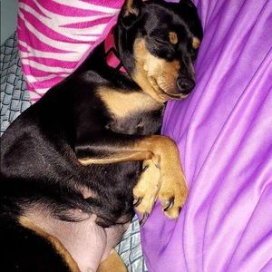 Meet your Posher, Nancy